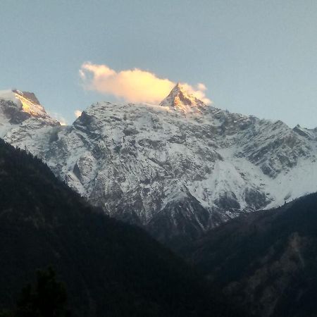 Wanderers Homestay -All Mountain Facing Rooms Kalpa Exteriör bild