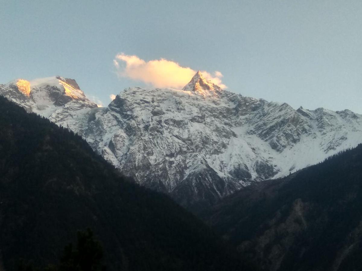 Wanderers Homestay -All Mountain Facing Rooms Kalpa Exteriör bild