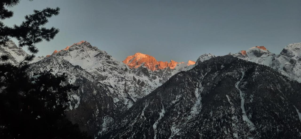 Wanderers Homestay -All Mountain Facing Rooms Kalpa Exteriör bild