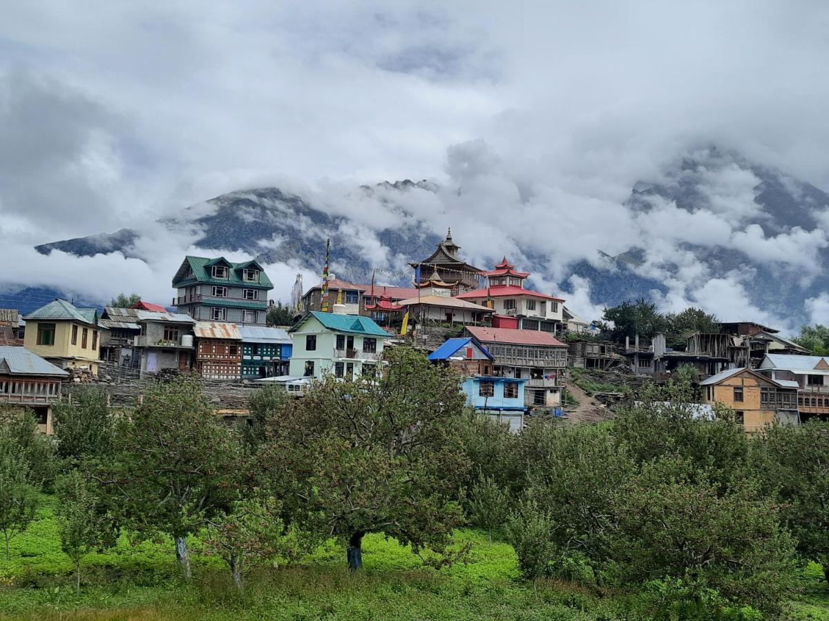 Wanderers Homestay -All Mountain Facing Rooms Kalpa Exteriör bild