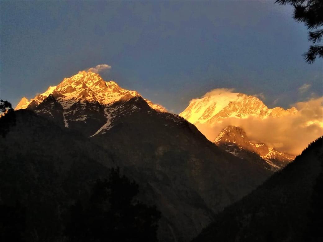 Wanderers Homestay -All Mountain Facing Rooms Kalpa Exteriör bild